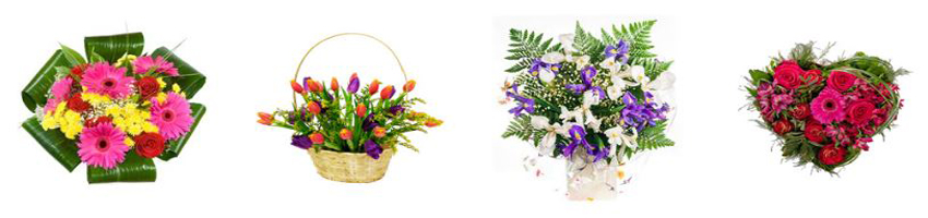 Cyber Florist